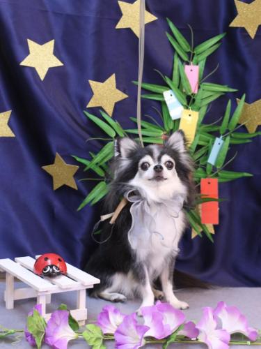 20230725ジンくん